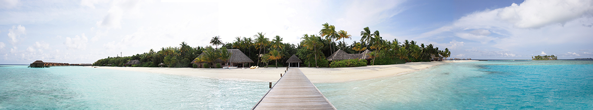 Banner "Palmen & Strand" 3 x 16m , 2-teilig